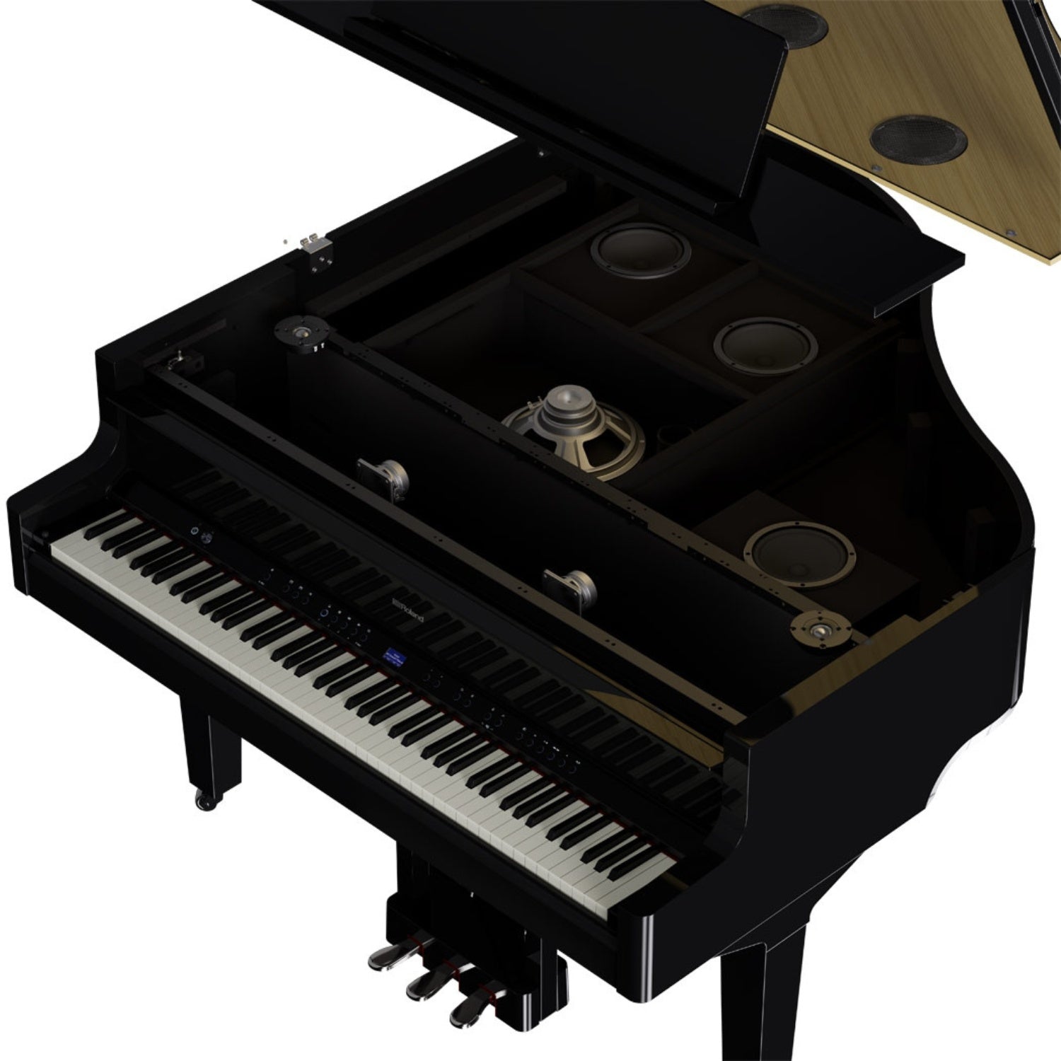 #color_polished-ebony