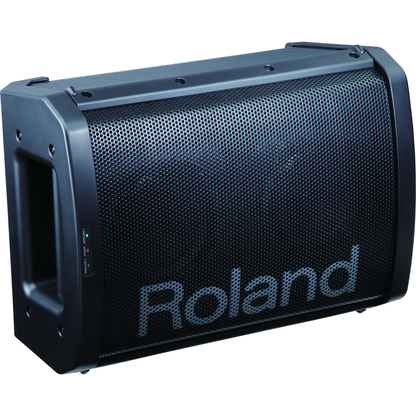 Roland BA55 Battery Powered Portable Amplifier