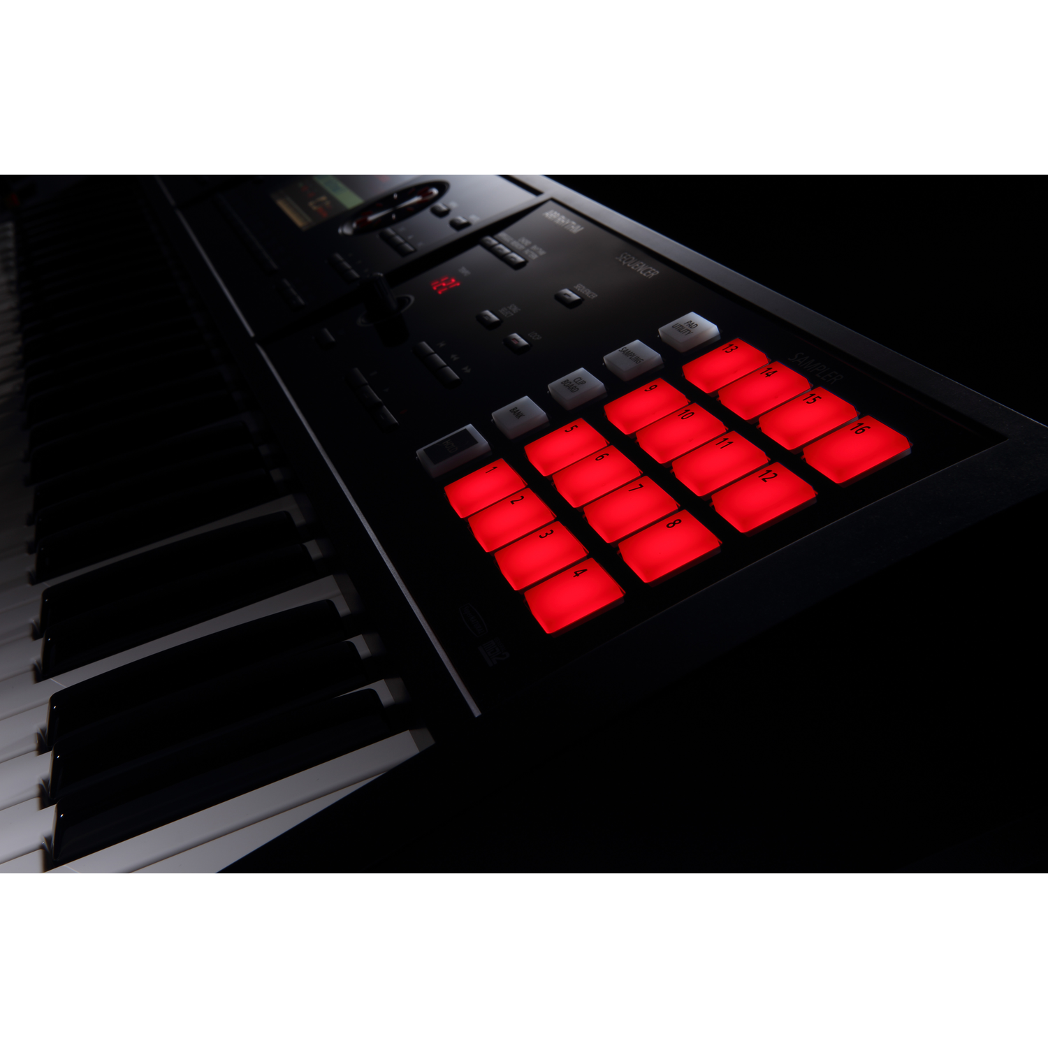 Roland FA-06 61-Key Music Workstation