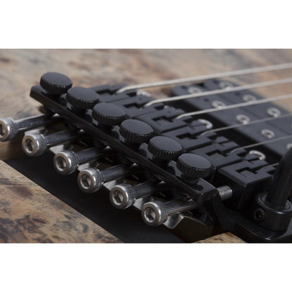 Schecter Reaper-6 FR S 6 String Electric Guitar
