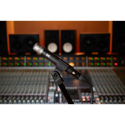 Slate Digital ML-2A Instrument Modelling Microphone - Pair