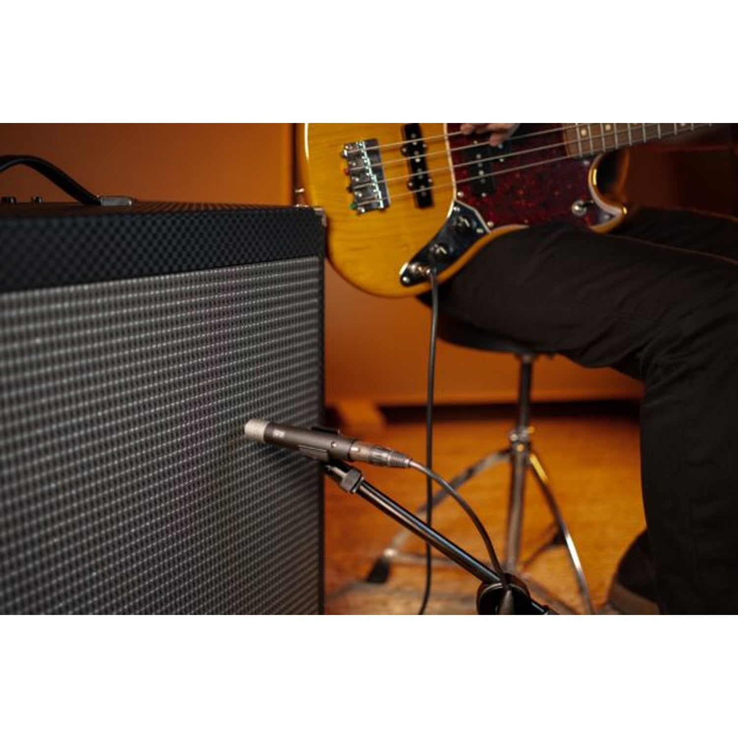 Slate Digital ML-2A Instrument Modelling Microphone - Pair