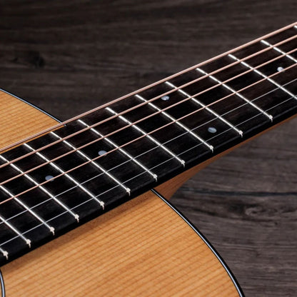 Taylor 117e Sapele 6 String Electro Acoustic Guitar