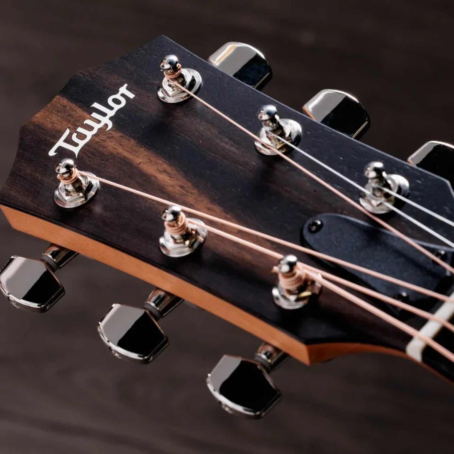 Taylor 214ce-K Plus 6 Strings Grand Auditorium Electro Acoustic Guitar
