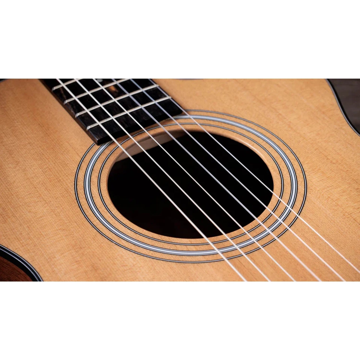 Taylor 112ce-N Grand Concert 6 String Electro Acoustic Guitar