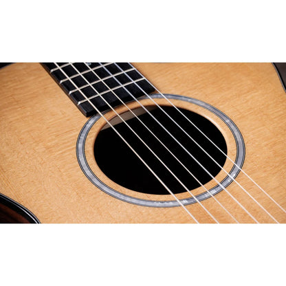 Taylor 212ce-N Plus Grand Concert 6 String Electro Acoustic Guitar