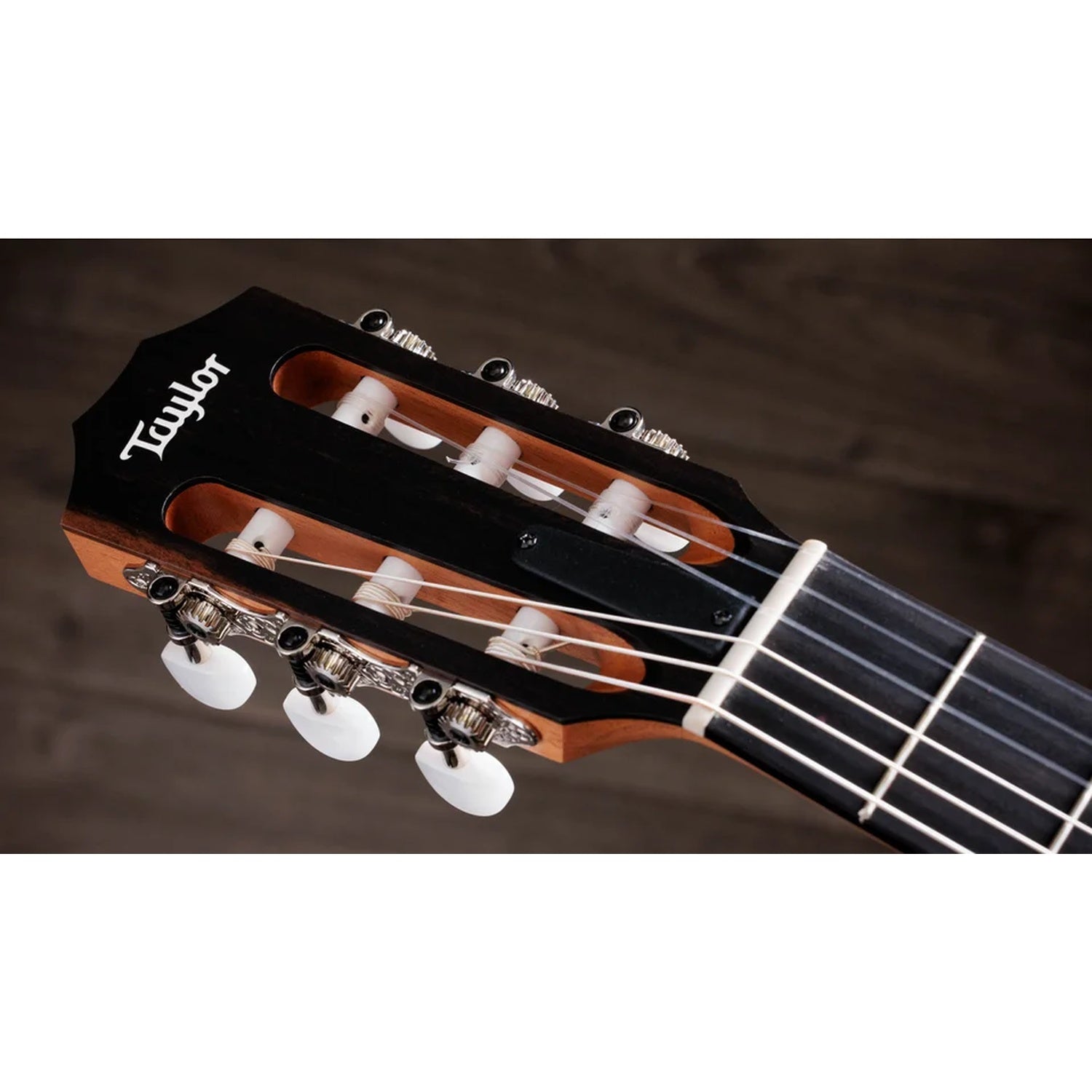 Taylor 212ce-N Plus Grand Concert 6 String Electro Acoustic Guitar