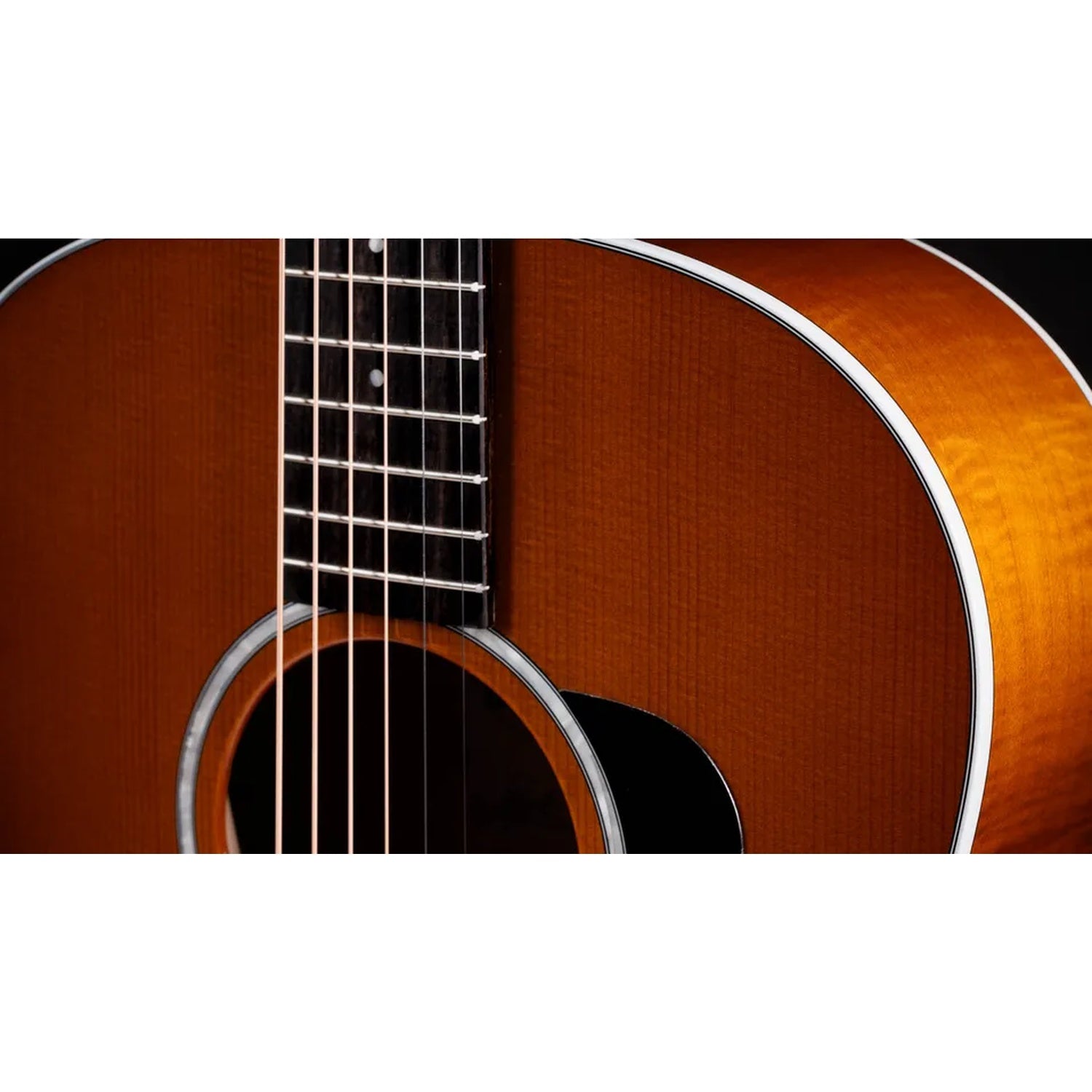 Taylor 217e Plus Special Edition 6 String Electro Acoustic Guitar