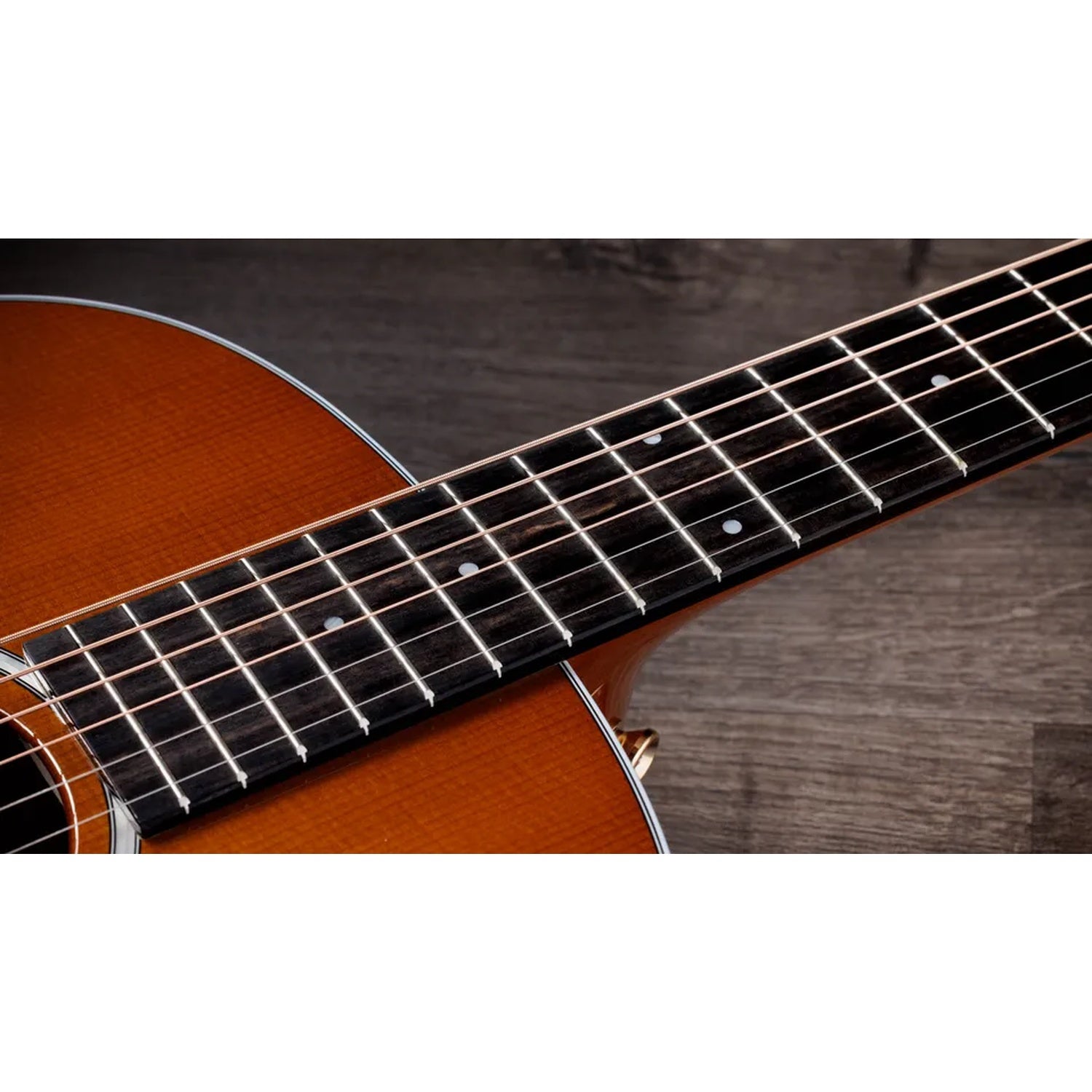 Taylor 217e Plus Special Edition 6 String Electro Acoustic Guitar