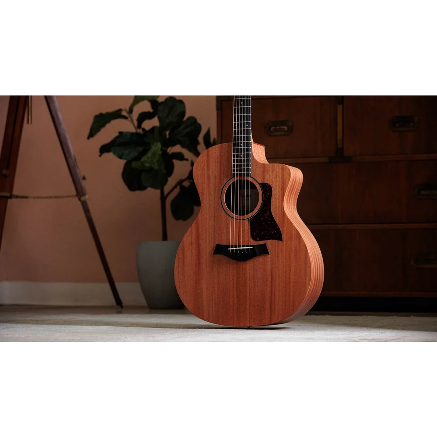 Taylor 24ce Grand Auditorium 6 String Electro Acoustic Guitar