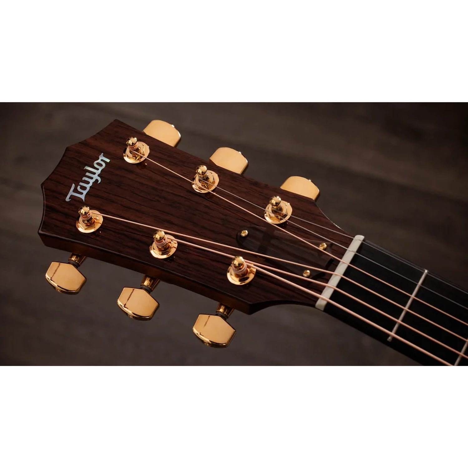Taylor Legacy 514ce Grand Auditorium 6 String Electro Acoustic Guitar