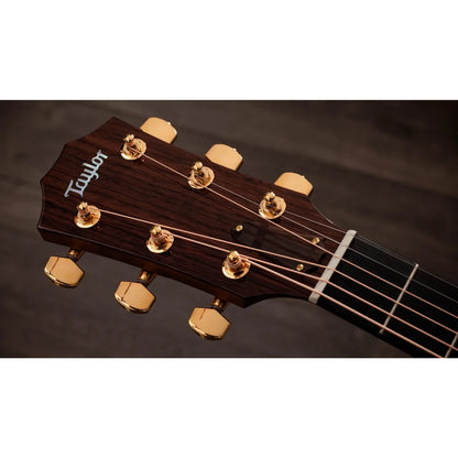 Taylor Legacy 514ce Grand Auditorium 6 String Electro Acoustic Guitar