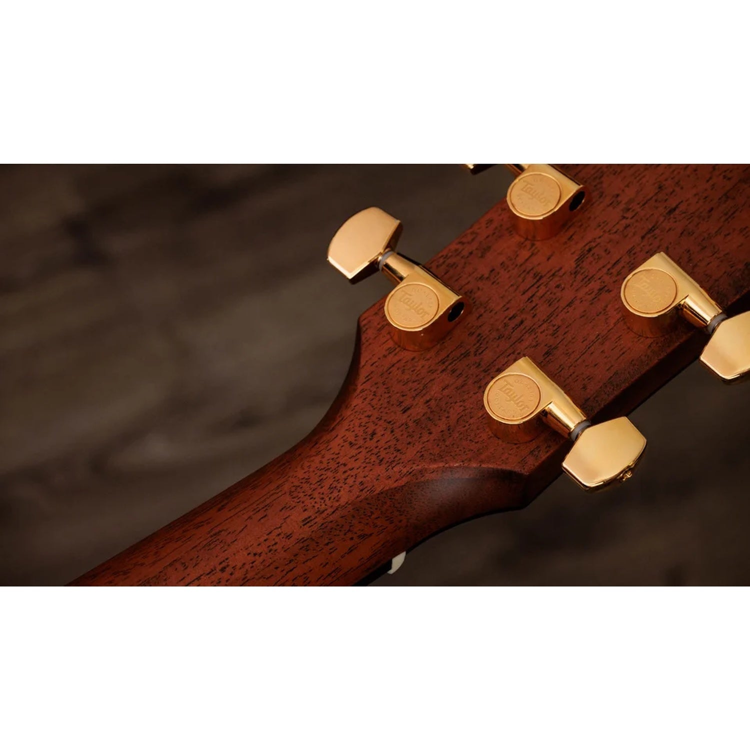 Taylor Legacy 514ce Grand Auditorium 6 String Electro Acoustic Guitar
