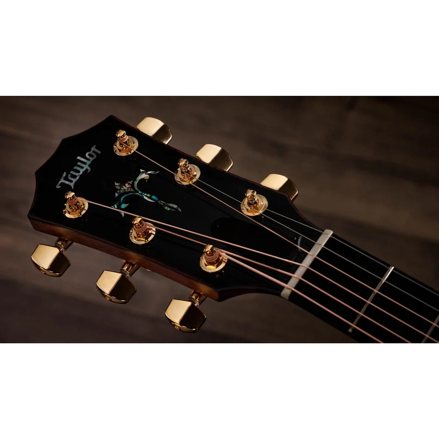 Taylor Legacy 914ce Grand Auditorium 6 String Electro Acoustic Guitar