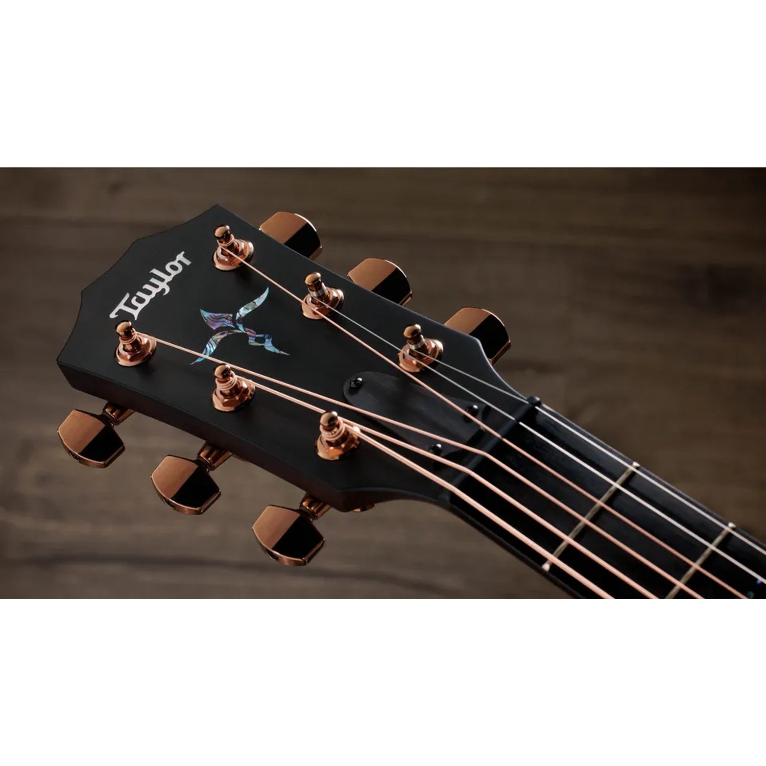Taylor K24ce Next Generation Grand Auditorium 6 String Electro Acoustic Guitar
