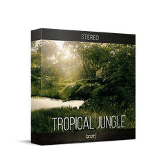 Boom Tropical Jungle STEREO: Tropical Jungle Ambience