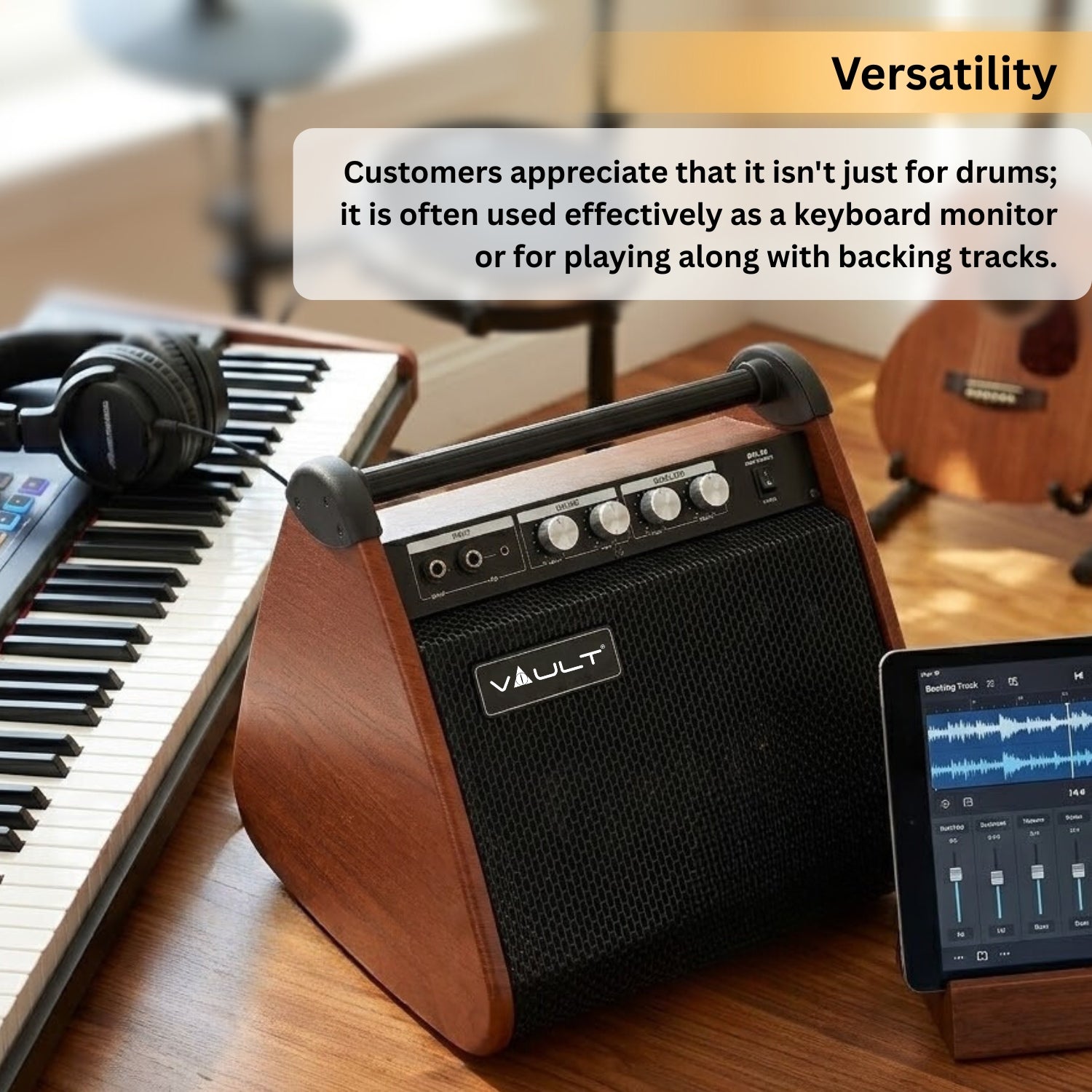 Vault DM50 Drum Monitor
