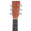 Vault EA25CE Grand Auditorium Shape Electro Acoustic Guitar with Bubinga Back and Sides