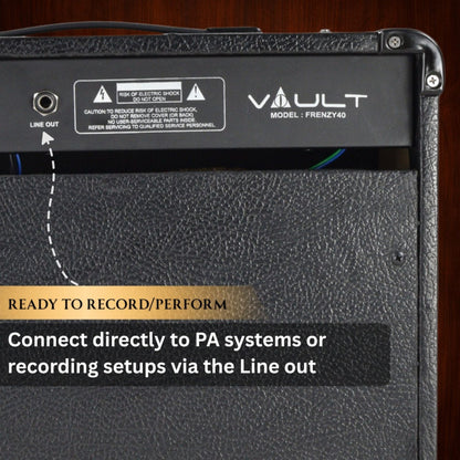 Vault Frenzy 40 Watt Combo Guitar Amplifier with Analog Distortion, Reverb & Delay All Playable Together