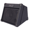 Vault Nomad 40 Forty-Watt Battery Powered Portable 3-Channel Multi Instrument and Vocals Amplifier