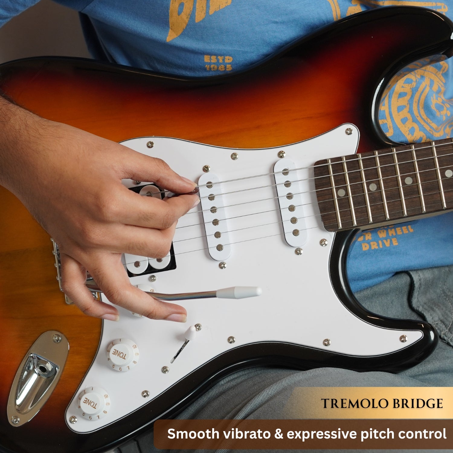 #color_sunburst,fretboard_indian-laurel