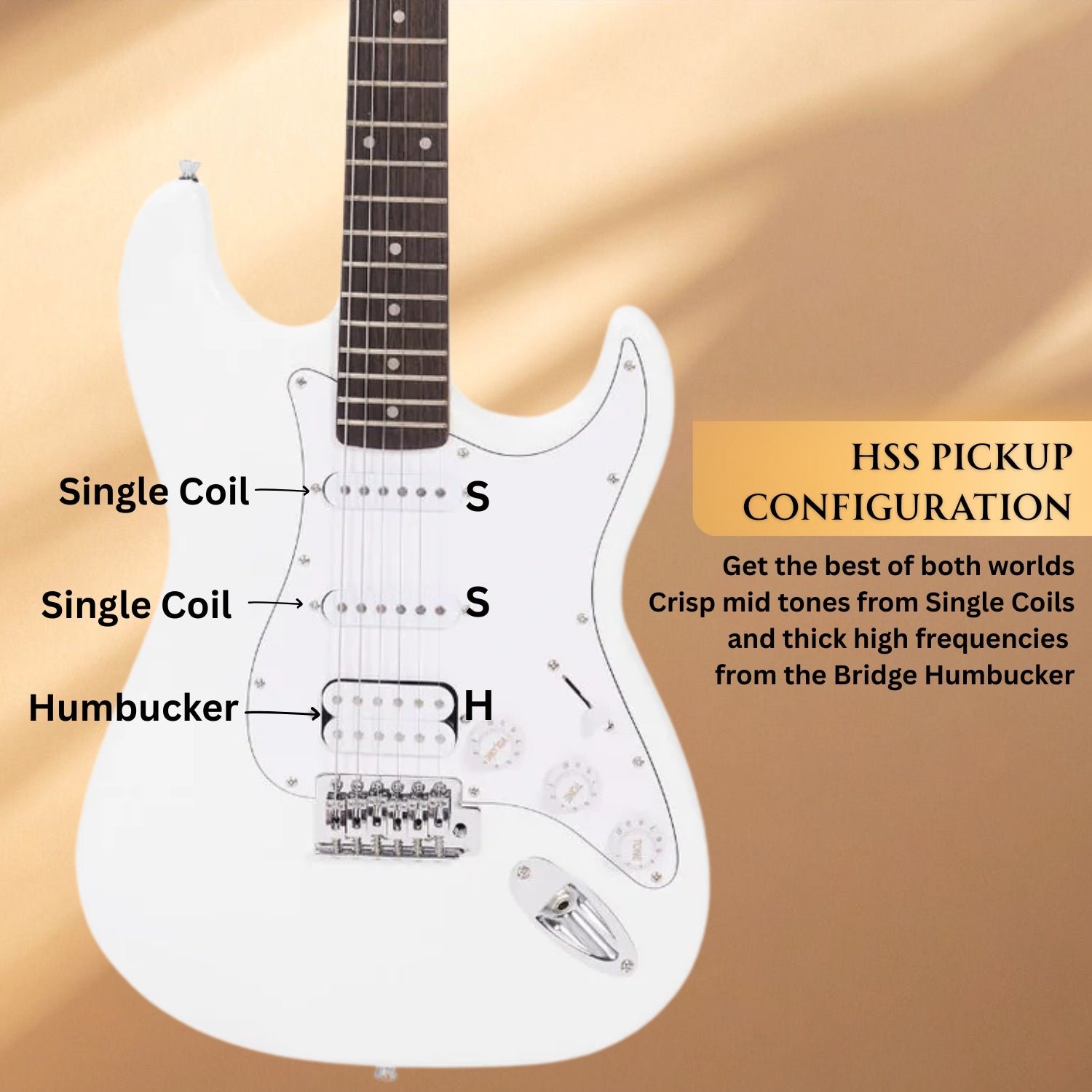 #color_white,fretboard_indian-laurel