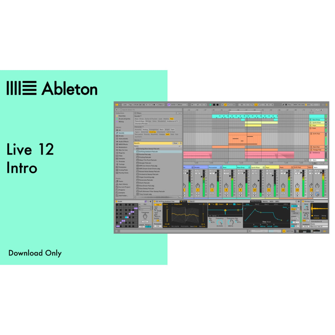 Ableton Live 12 Intro