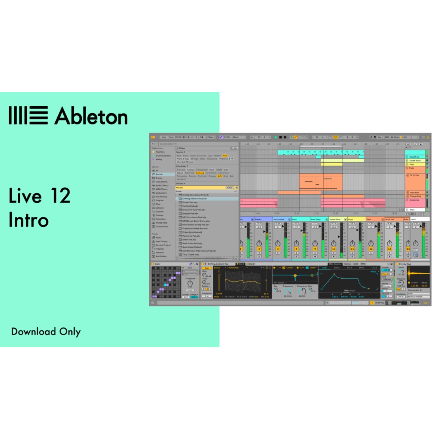 Ableton DAW Software Ableton Live 12 Intro Software (Download Only)