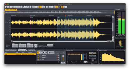 ACON DIGITAL DAW Software Acon Acoustica 7 Premium Spectral Audio Editor