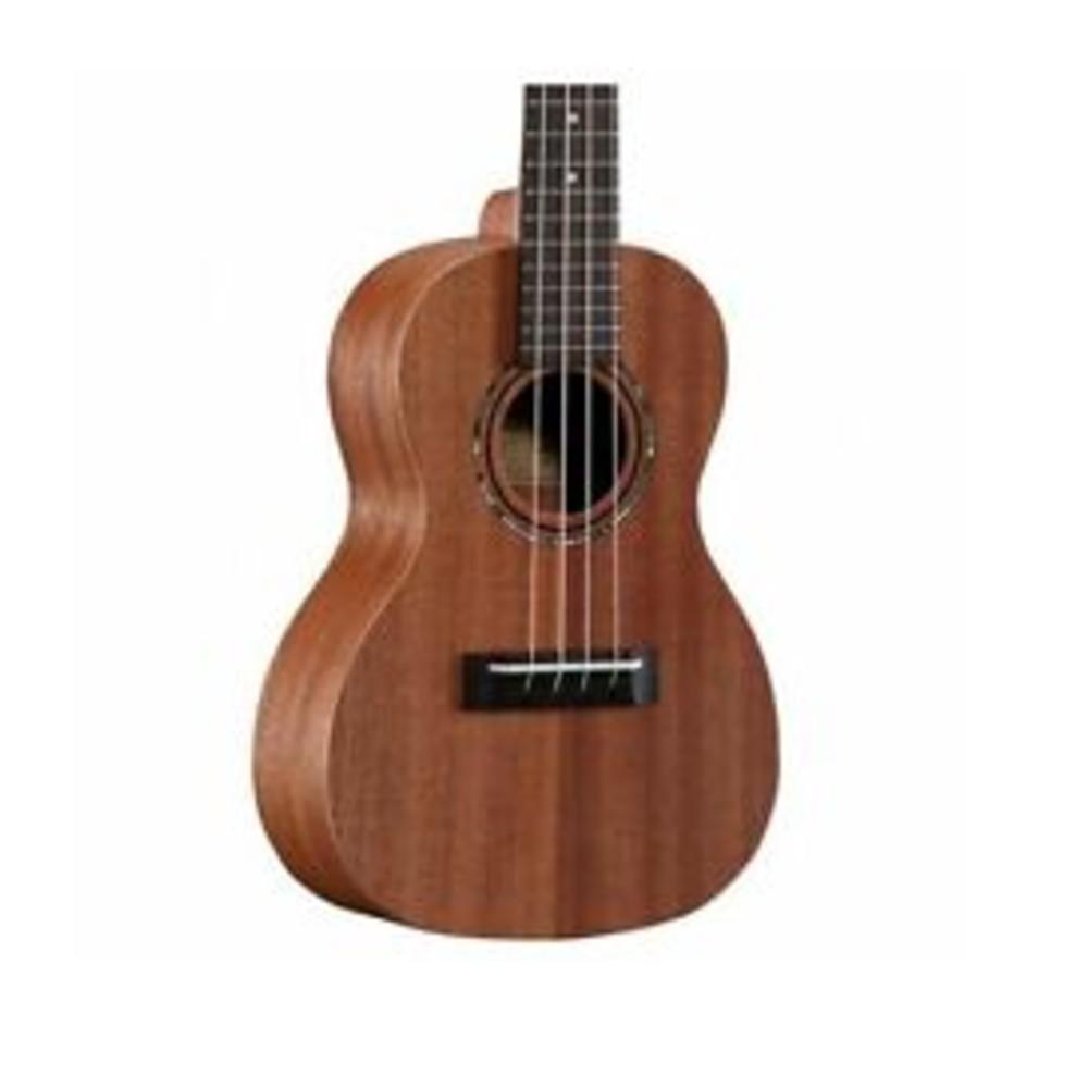 alvarez concert ukuleles alvarez ru22 regent series ukulele - natural satin      