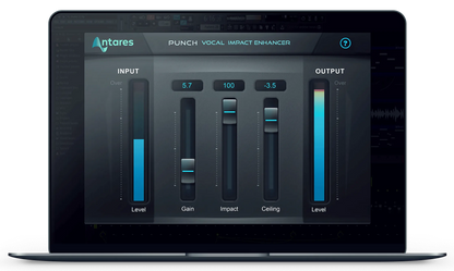 Antares Virtual Processors Antares Punch: Dynamic Processor