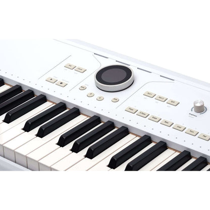 Arturia Synthesizers Arturia AstroLab 61-Key Avant Garde Stage Keyboard Synthesizers