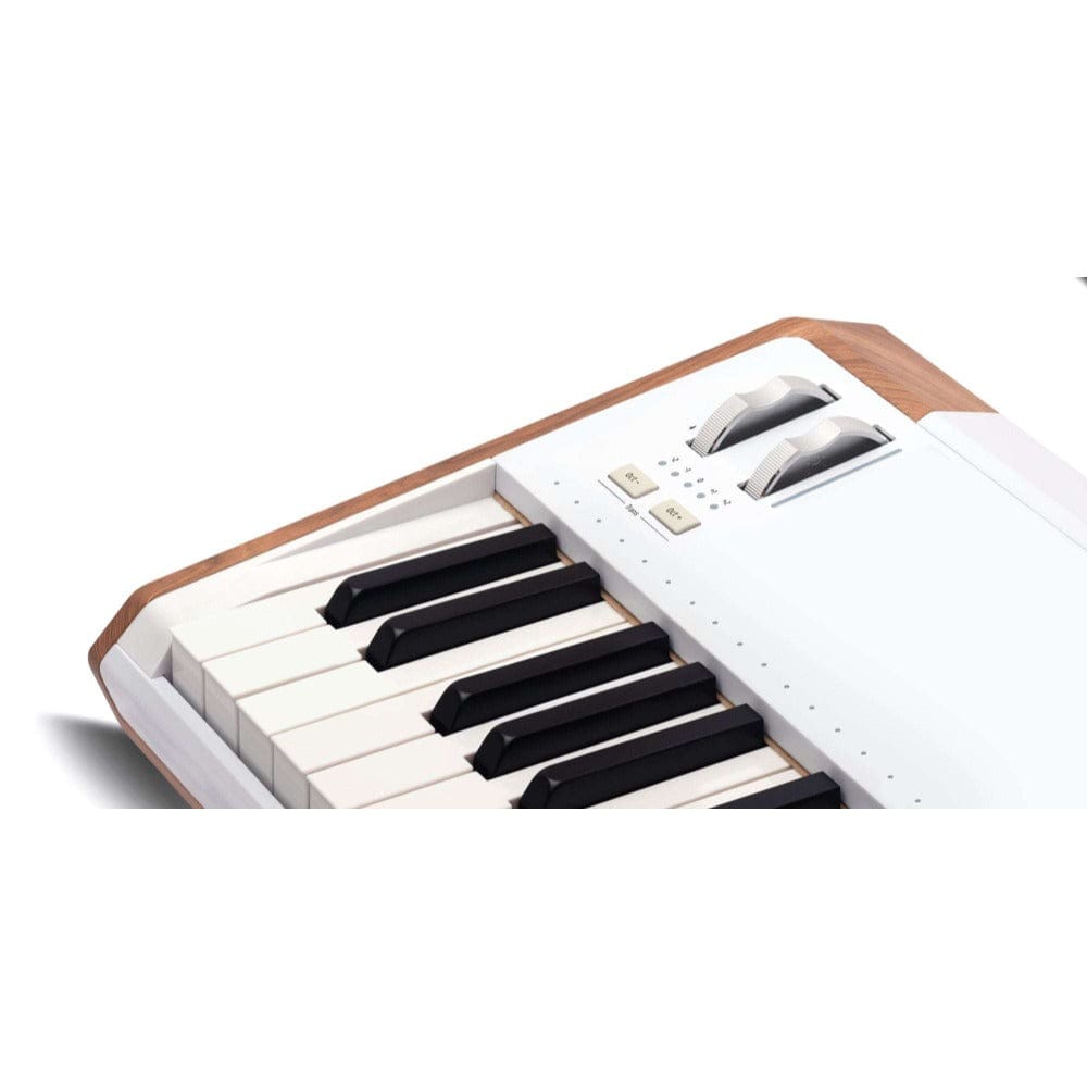 Arturia Synthesizers Arturia AstroLab 61-Key Avant Garde Stage Keyboard Synthesizers