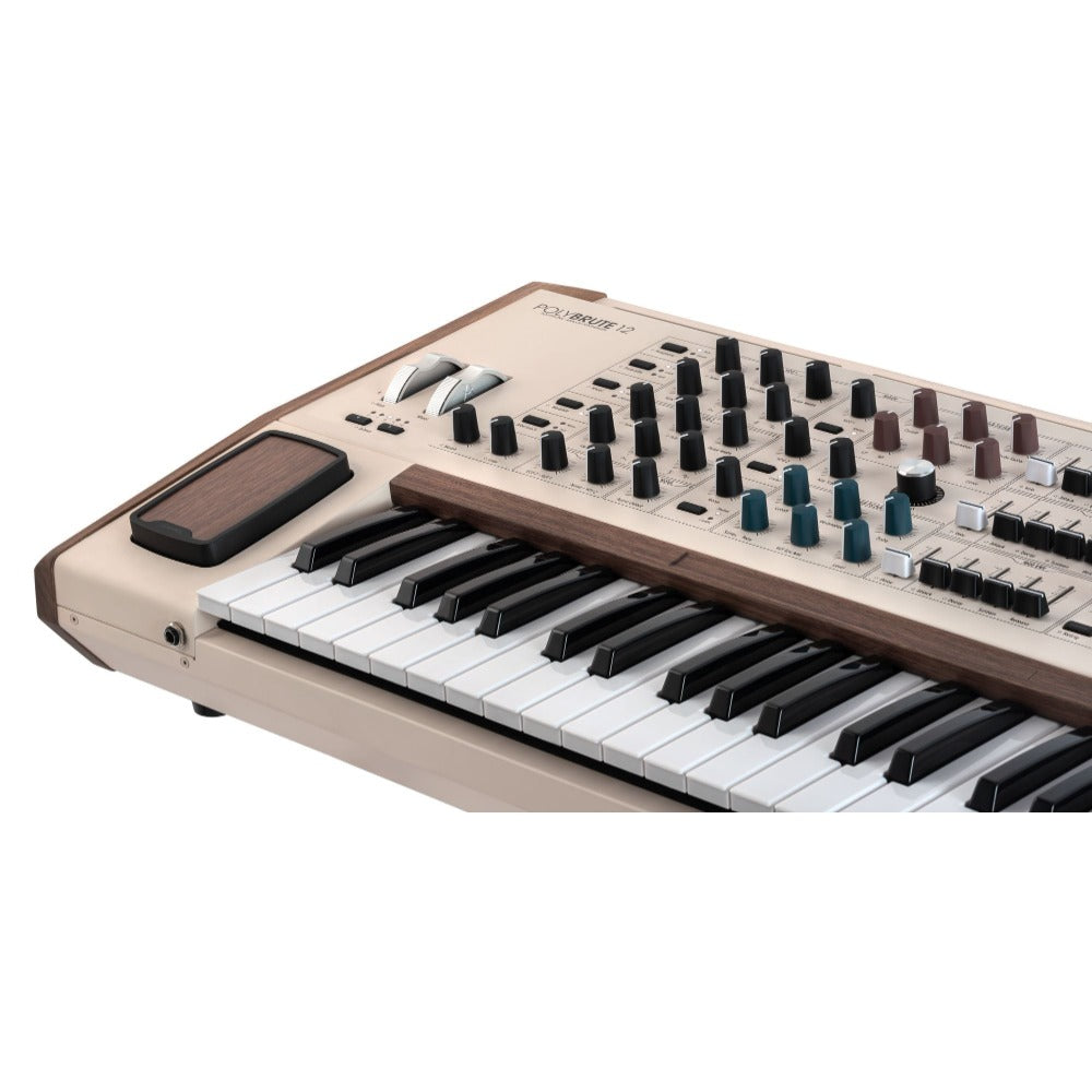 Arturia Synthesizers Arturia PolyBrute 12 Polyphonic Analog Synthesizer