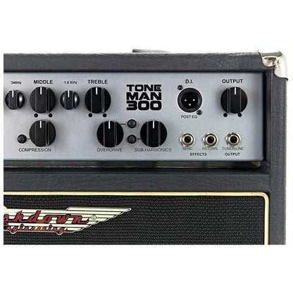ashdown bass amplifiers ashdown toneman c115 evo iii bass combo amplifier