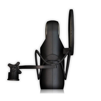 aston microphones condenser microphones aston microphones element condenser microphone with shockmount & pop-filter- black