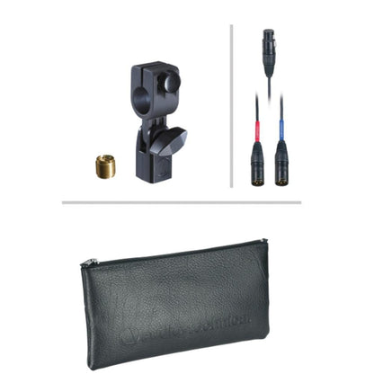 audio-technica condenser microphones audio-technica ae2500 dual-element kick drum microphone