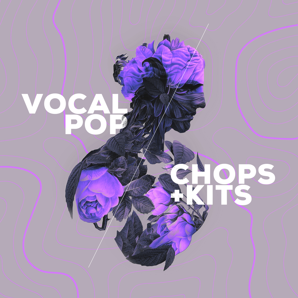 Audiomodern Virtual Instruments Audiomodern Vocal Pop Loopmix Expansion – Professional Audio Software & Plugin