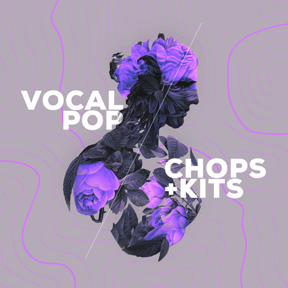 Audiomodern Virtual Instruments Audiomodern Vocal Pop Loopmix Expansion – Professional Audio Software & Plugin