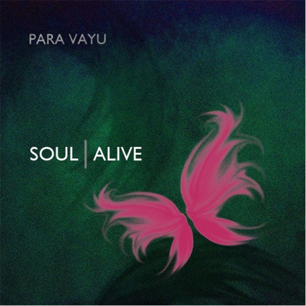 bajaao albums para vayu - soul alive