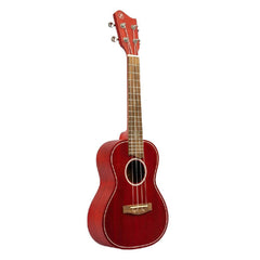 Bamboo Concert Ukuleles Bamboo Special Edition Series Elements Line Concert Ukulele with Gig Bag