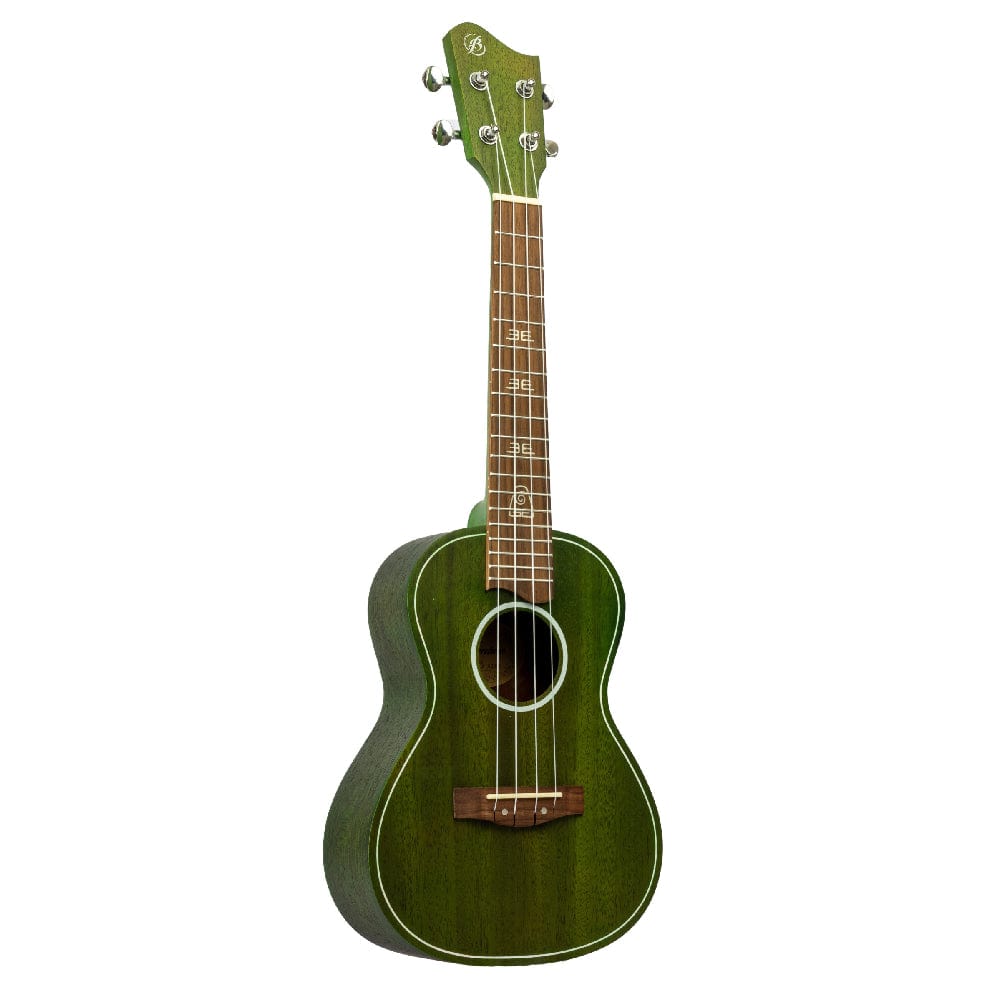bamboo concert ukuleles bamboo special edition series elements line concert ukulele with gig bag      #elements-line_earth
