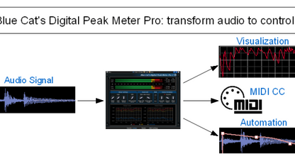 Blue Cat Audio Virtual Processors Blue Cat DP Meter Pro Peak Meter