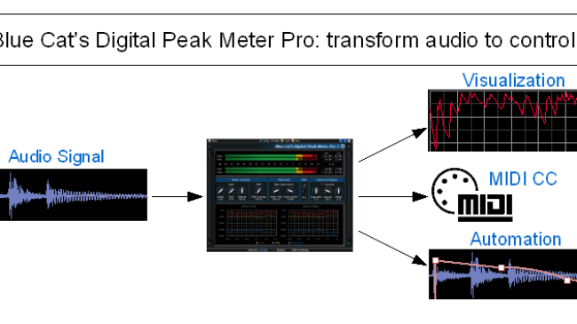 Blue Cat Audio Virtual Processors Blue Cat DP Meter Pro Peak Meter