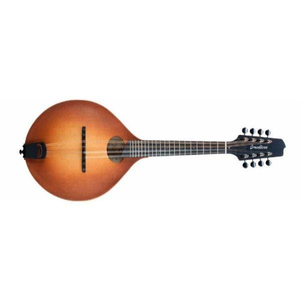 breedlove mandolins breedlove premier oo mandolin