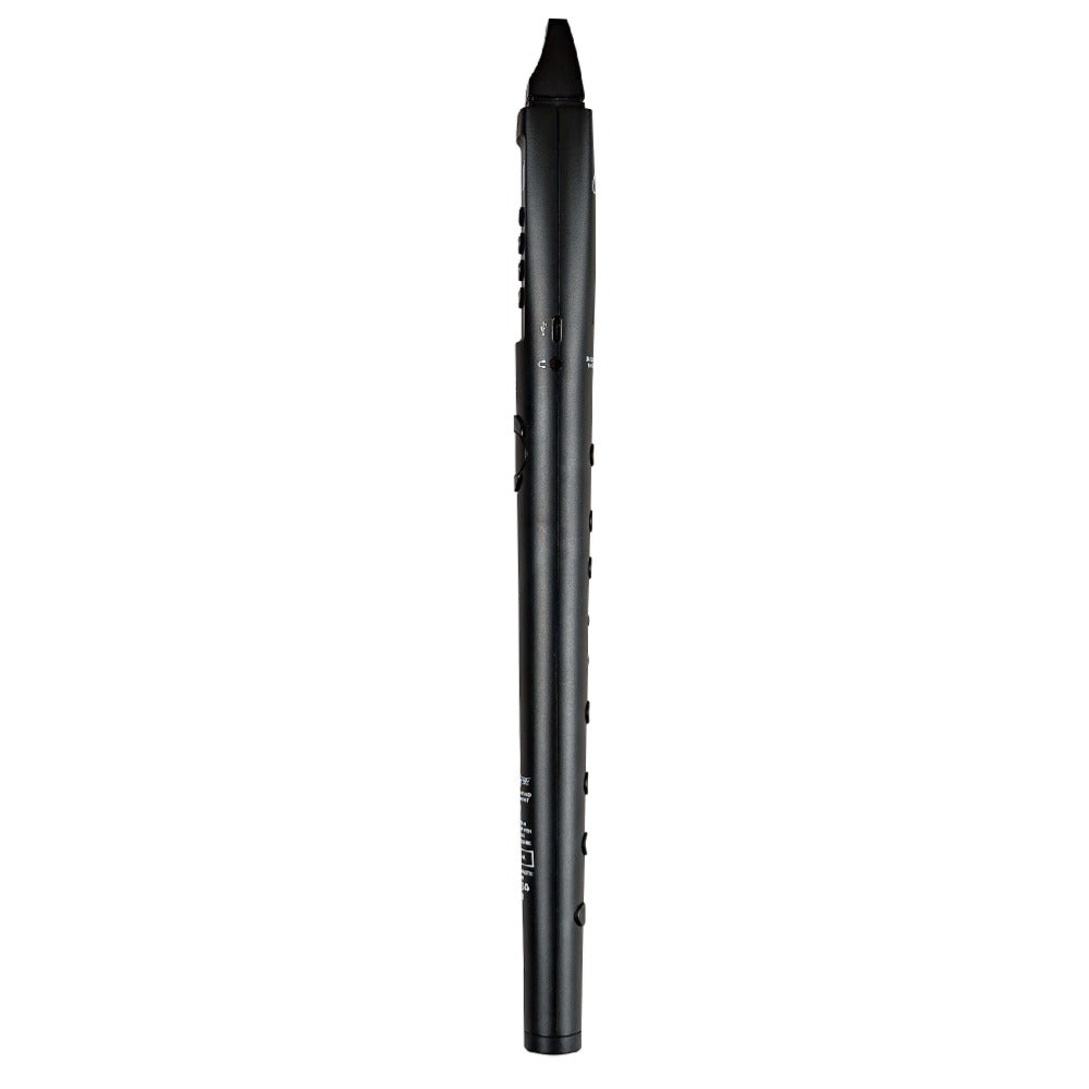 Carry-On Digital Wind Instruments Carry-on DWI2 Digital Wind Instrument 
