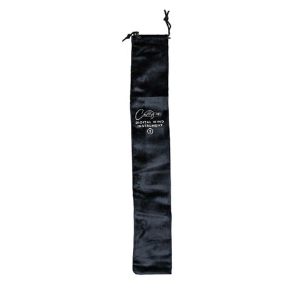 Carry-On Digital Wind Instruments Carry-on DWI2 Digital Wind Instrument 