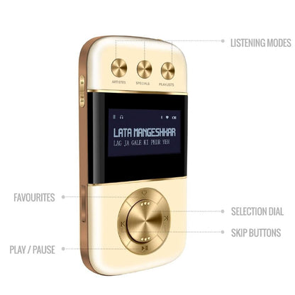 Carvaan Portable Music Players Saregama Carvaan Go Gold Portable Audio Player With 3000 Pre-Loaded Retro Hindi Songs