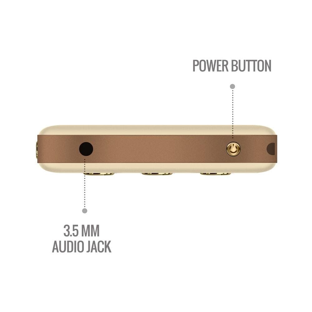 Carvaan Portable Music Players Saregama Carvaan Go Gold Portable Audio Player With 3000 Pre-Loaded Retro Hindi Songs