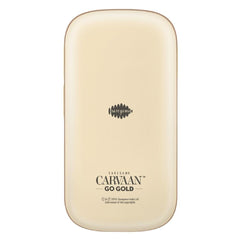 Carvaan Portable Music Players Saregama Carvaan Go Gold Portable Audio Player With 3000 Pre-Loaded Retro Hindi Songs